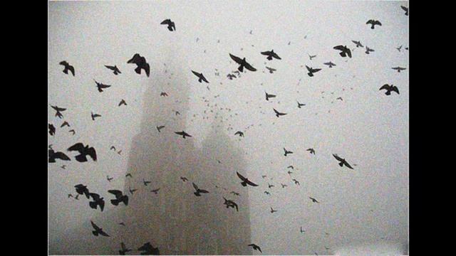 DEPRESSIVE BLACK/POST BLACK/ATMOSPHERIC BLACK METAL-INSTRUMENTAL