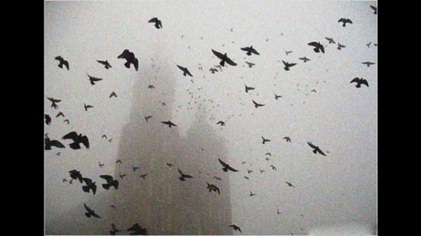 DEPRESSIVE BLACK/POST BLACK/ATMOSPHERIC BLACK METAL-INSTRUMENTAL