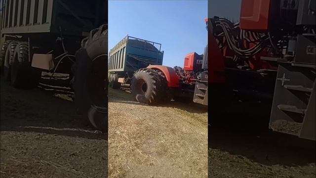 нежданчик1 смотреть онлайн