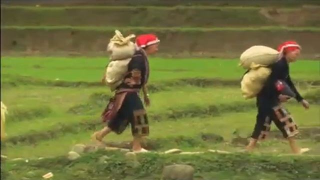 Luke Nguyen's VN S2E07a   Black pig char grilled skewers