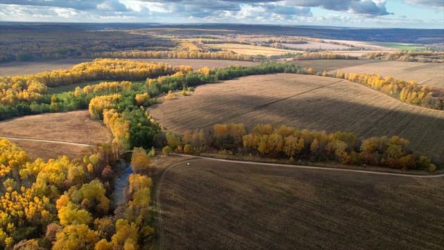 Ненашево Заокский район Тульской области 93 смотреть онлайн
