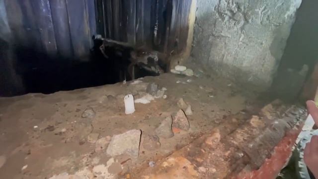 типа влог. заброшки в пределах Катунино смотреть онлайн