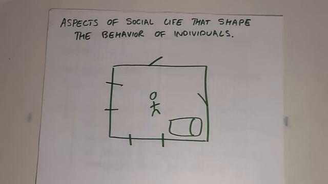 social fact смотреть онлайн