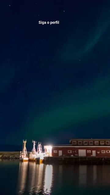 AURORA BOREAL: O ESPETÁCULO CELESTIAL DA TERRA смотреть онлайн