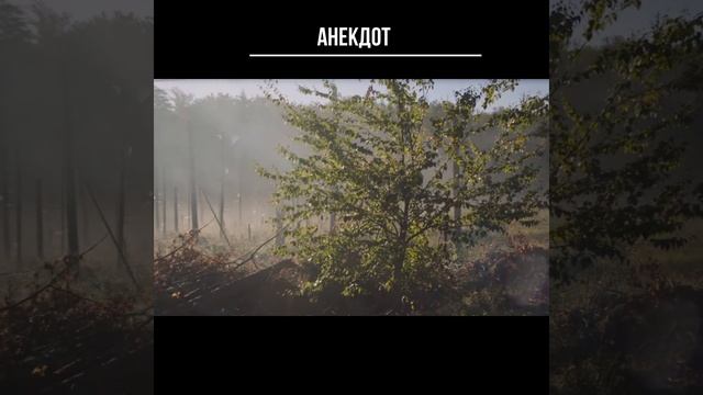 #shorts Анекдот. смотреть онлайн