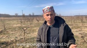 ЧЕМ ОБРАБАТЫВАТЬ САД РАННЕЙ ВЕСНОЙ? Опрыскивание медьсодержащими препаратами. Видео из питомника.