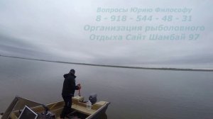 Сомик на 20 кг. Волга. Осень  Монтаж снасти для квочника.  от Юрия Философа