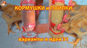 Кормушки и поилки для кур своими руками 31 🪚✂️ Пошаговая инструкция как сделать 🐔 🐓❣️