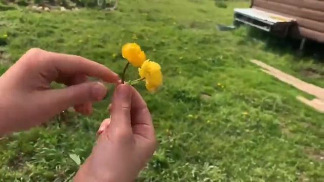 Мы поели венки🤯😱 у нас отключили свет😥😓 смотреть онлайн