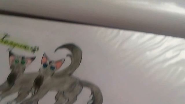 Мои рисунки Котов Воителей#2|КВ Крутобок и Милли| смотреть онлайн