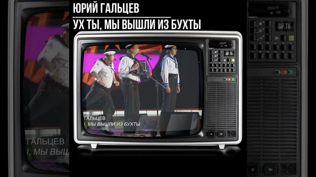 #shorts Юрий Гальцев Ух ты, мы вышли из бухты смотреть онлайн