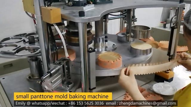Small panettone cake cup mold machine смотреть онлайн