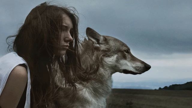 Gemma Hayes — Wicked Game (Aaron Static Bootleg) (Lyrics/Subtitles) смотреть онлайн