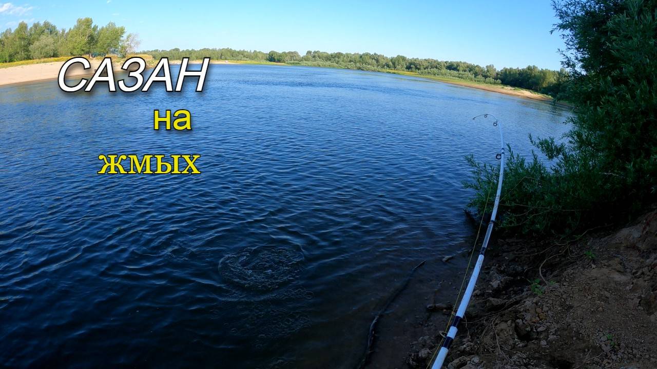 Поймал сазанчика на жмых. Летняя рыбалка на донки. смотреть онлайн