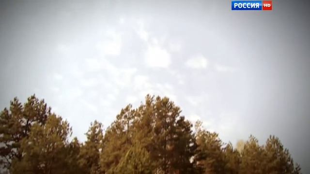 час памяти Память должна жить в веках смотреть онлайн
