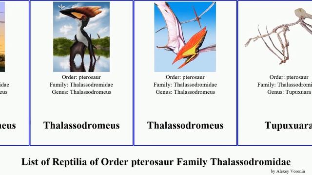 List of Reptilia of Order pterosaur Family Thalassodromidae Mini Love tupuxuara Loom Vandals смотреть онлайн