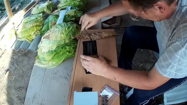 Табакорезка от Максима Каратаева смотреть онлайн