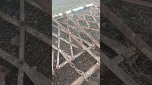 Сцепка борон на мтз