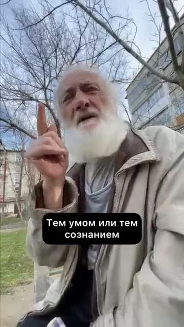 document_5341576527395957966 смотреть онлайн