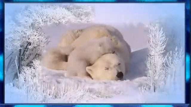 Studying In Paradise