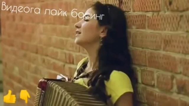 ШУХ ТЕРМА КУШИКЛАР   ...