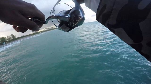 Pier Fishing For Spanish Mackerel смотреть онлайн