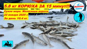 ✅ НЕВЕРОЯТНЫЙ КЛЁВ КОРЮХА! I 5,8 кг. за 15 минут!! Сухое море I Железные ворота 22 янв.2025 #корюшка