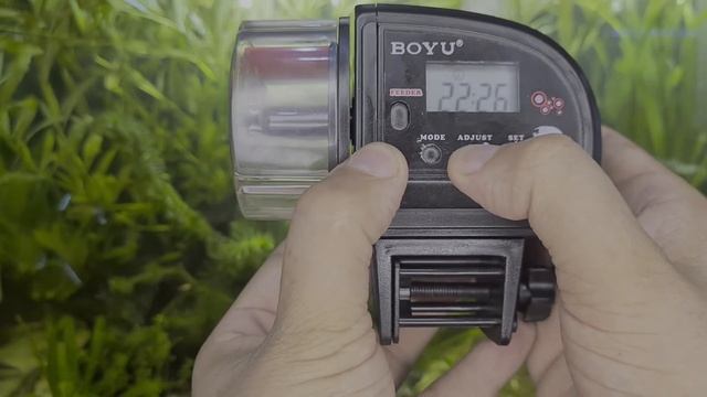 🔵 EU TESTEI - Alimentador Automático BOYU ZW-66 - 2R Aquarismo