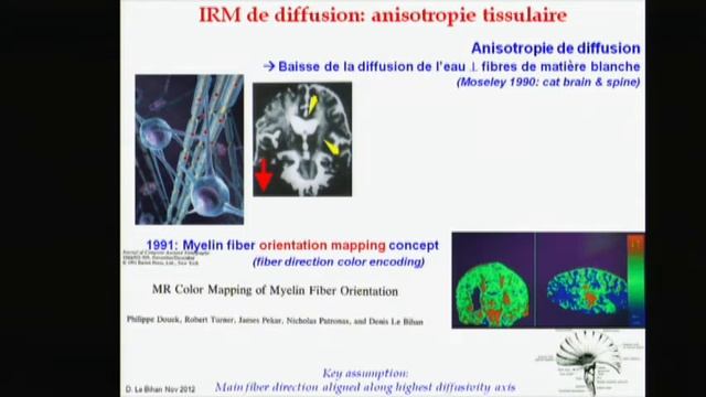 L'IRM et ses secrets révélés смотреть онлайн