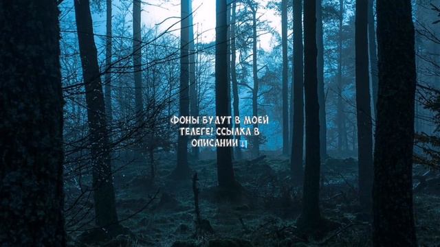 ТОП 10 фонов которые ИСПОЛЬЗУЕТ МАКС ВАЩЕНКО🔥 смотреть онлайн