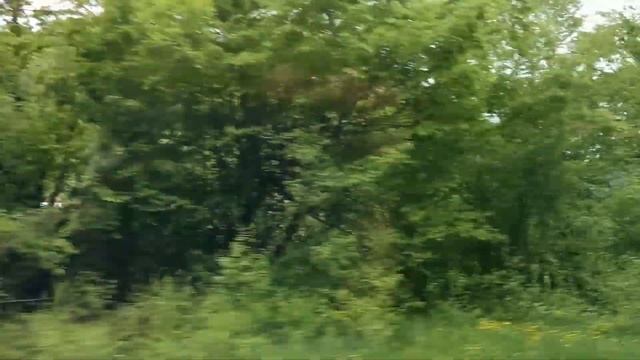 Черногория - Экскурсия по каньонам, горы смотреть онлайн