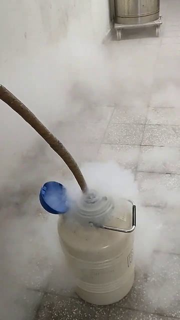 Boiling Liquid nitrogen смотреть онлайн