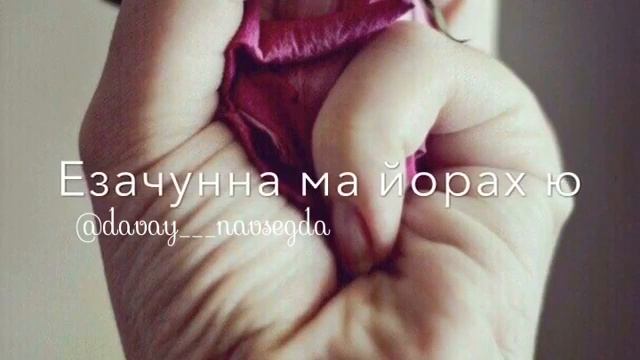 Дависа хьан оьздангалла❤ смотреть онлайн