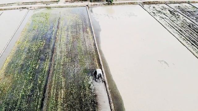 Teroi, Yan смотреть онлайн