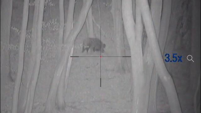 pulsar n 355 +ir 850 смотреть онлайн