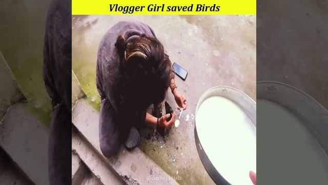 Vlogger girl saved birds from electric shock - Rescuing animals #shorts смотреть онлайн