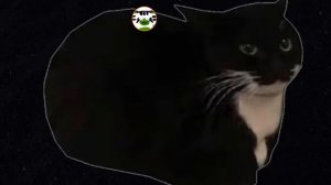 Кот Максвелл песня remix phonk