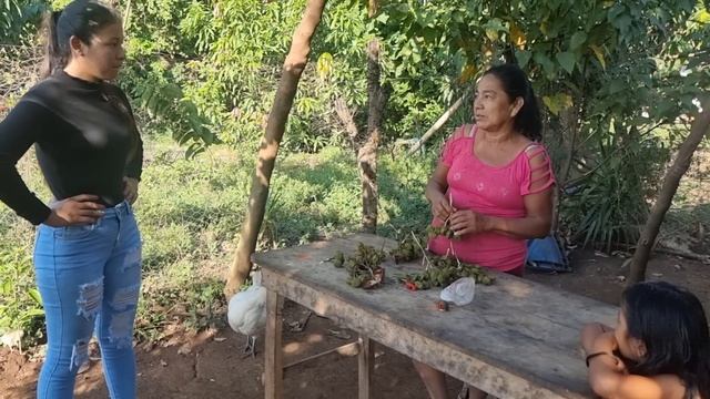 Tremenda La Mujer De Don Rafa Ella Nos Cuenta La Verdad Porque Lo Echó De La Casa смотреть онлайн