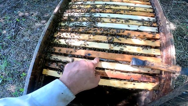||ДЕНЬ 871|| Нарезаю холстики. Докачали подсолнух. 250 литров. Пчеловод-полицейский. смотреть онлайн