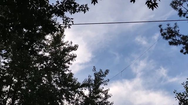 RadioWavz Fan Dipole смотреть онлайн