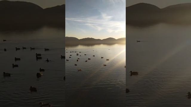 Torre del Lago Puccini смотреть онлайн