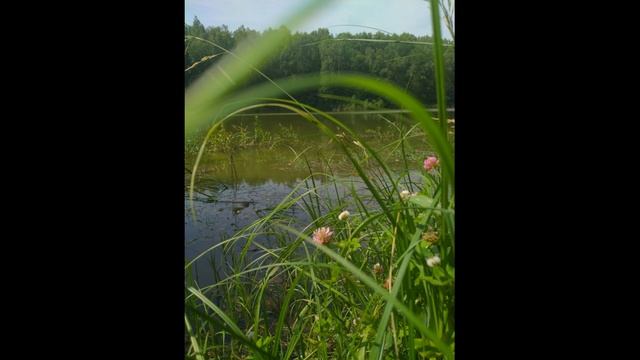 Грустная и красивая импровизация. Cover. Исполнитель Илья Лазарев. Guitar Solo.