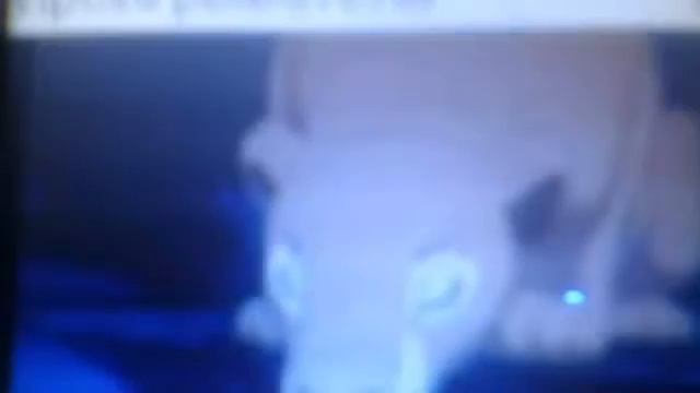 кароль лев и макс смотреть онлайн