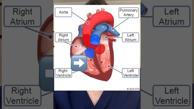 Cardiologist talks: COFFEE смотреть онлайн