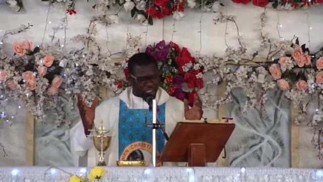 WEDNESDAY ROGRAM (THE HOLY MASS) смотреть онлайн