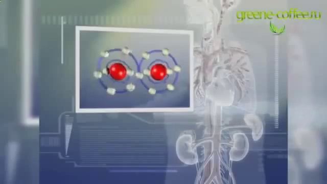 Отзывы о зеленом кофе для похудения смотреть онлайн