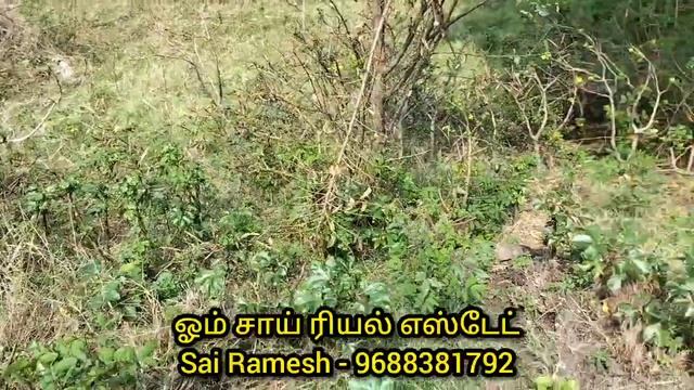 773) 33 cent 170 feet Pollachi to Dharapuram main road base land for sale in POLLACHI смотреть онлайн