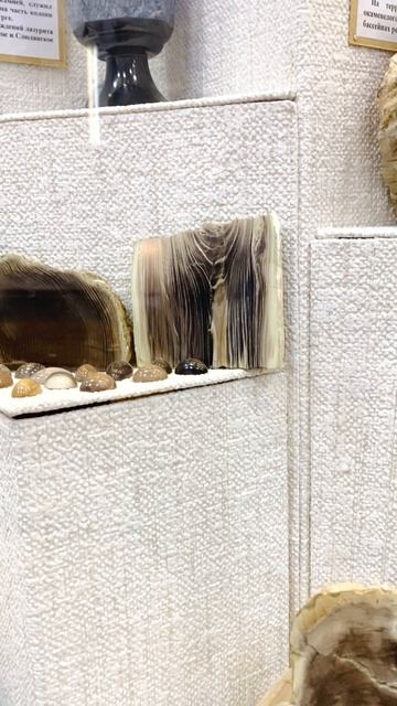 Музейная витрина. Змеевик. Обсидиан. Окаменелое дерево. Скарн. Лазурит. Музей г.Нерюнгри смотреть онлайн