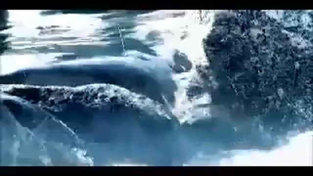 SAIRME Georgian mineral water смотреть онлайн