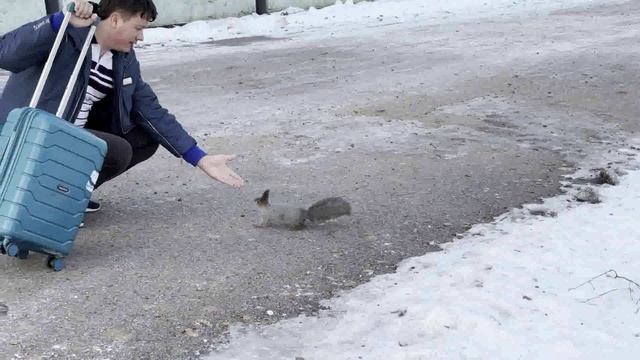 попрошайка смотреть онлайн